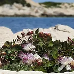 Seafronthouse Niksa, 2 Km From Vis Rogacic