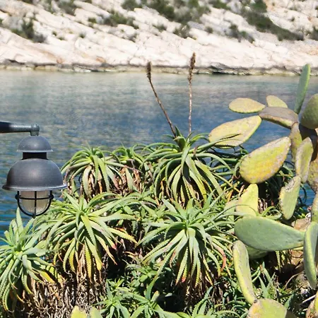 Seafronthouse Niksa, 2 Km From Vis