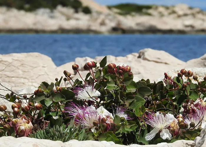 Seafronthouse Niksa, 2 Km From Vis Rogacic