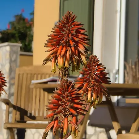 بيت للعطل Seafronthouse Niksa, 2 Km From Vis